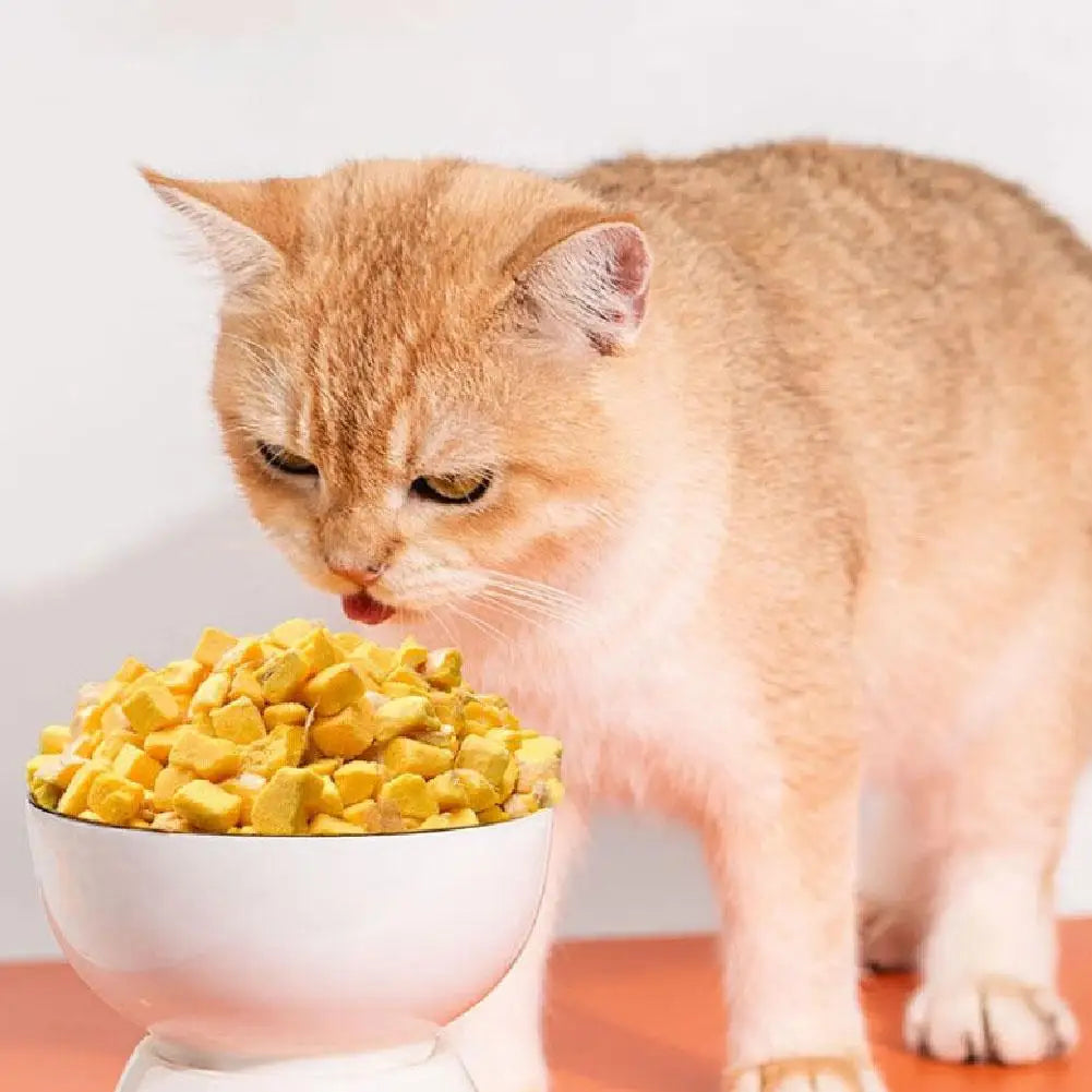 Freeze-Dried Pet Food – High-Protein Natural Chicken Treats for Cats & Dogs