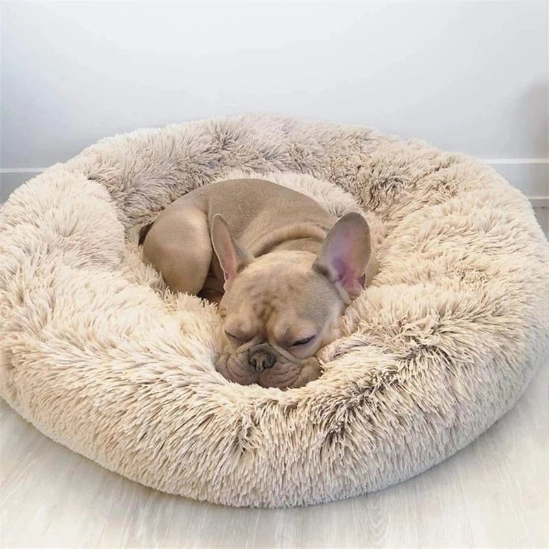 Corduroy Plush Pet Bed – Warm, Washable & Non-Slip Bed for Dogs and Cats